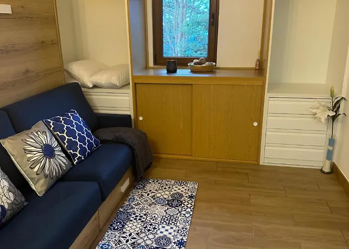 Апартаменты Aral La Pinilla (Castile and Leon)